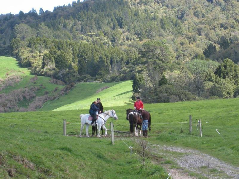Kaimai Country Lodge Катікаті Екстер'єр фото